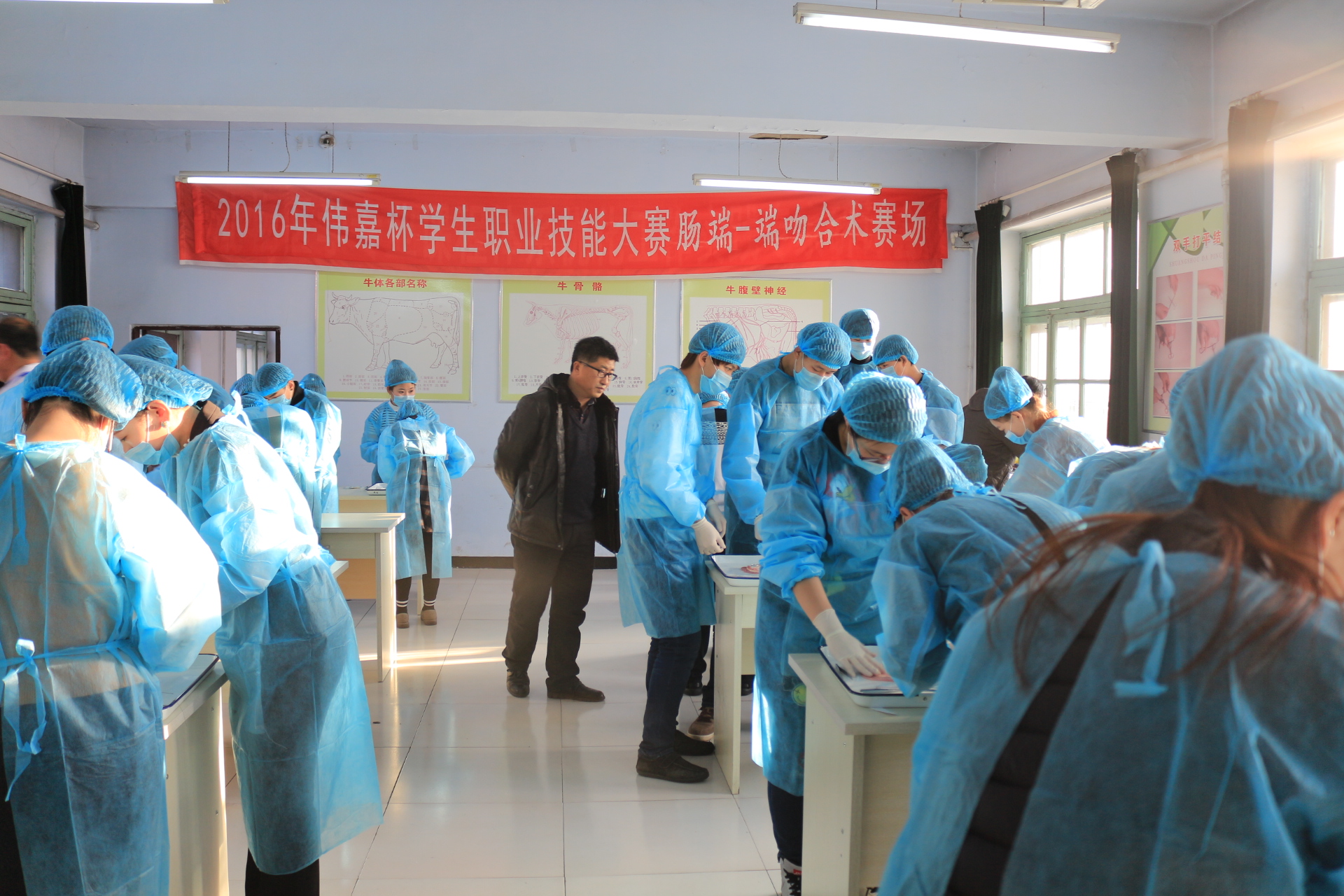 yl7703永利官网伟嘉杯学生职业技能大赛“肠端-端吻合术”赛场